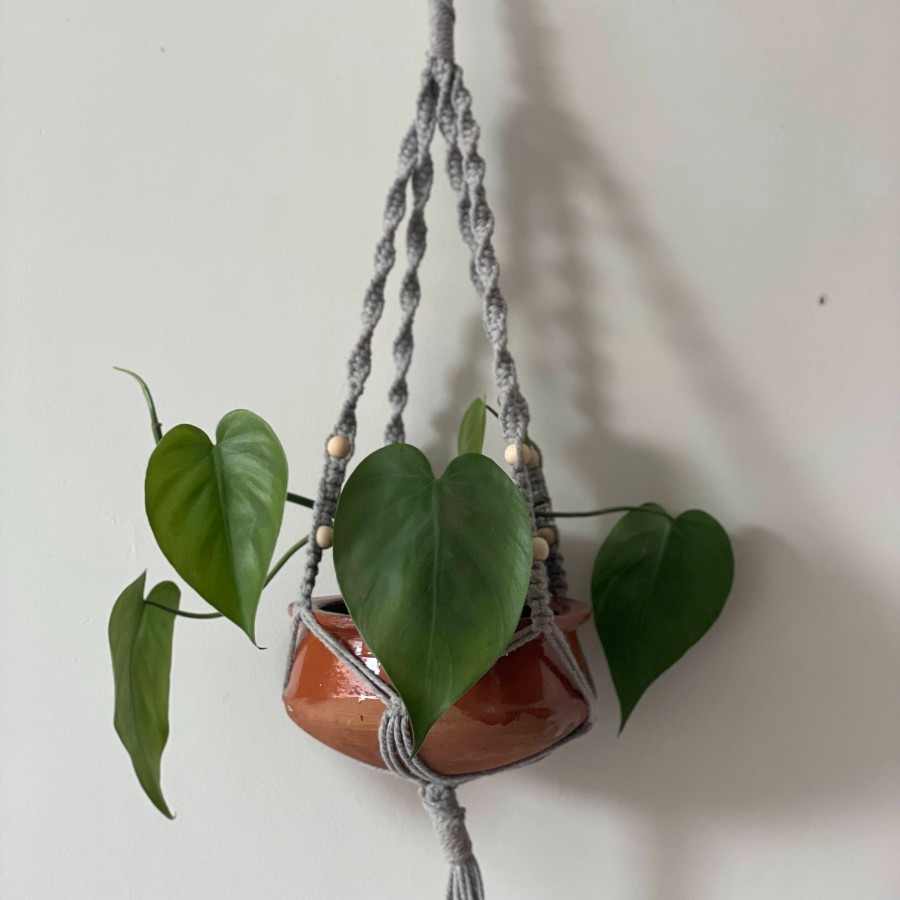 Midnight Bloom - Macrame Plant Hanger – Boho Home Décor