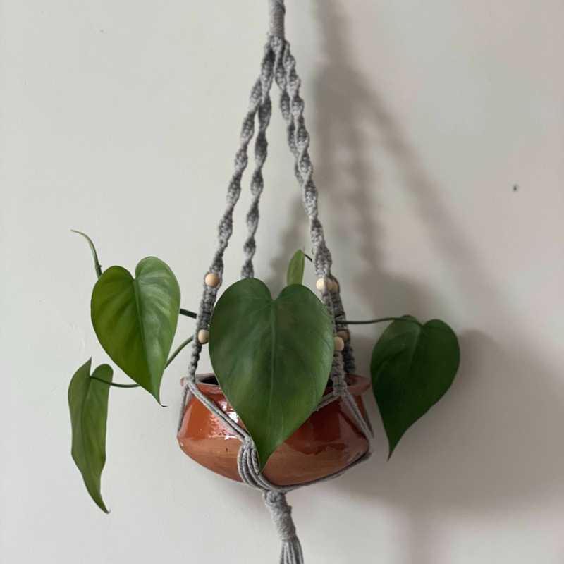 Midnight Bloom - Macrame Plant Hanger – Boho Home Décor